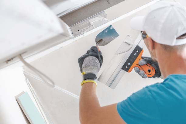 Best Drywall Installation  in Maroa, IL